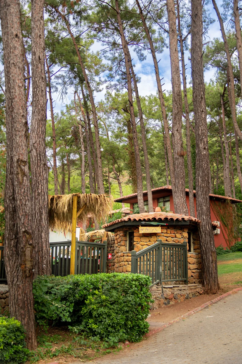 Resortun çam ormanları arasındaki Art Atelier & Coffee Shop alanı